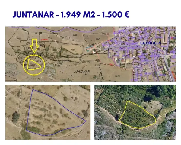 Spot image