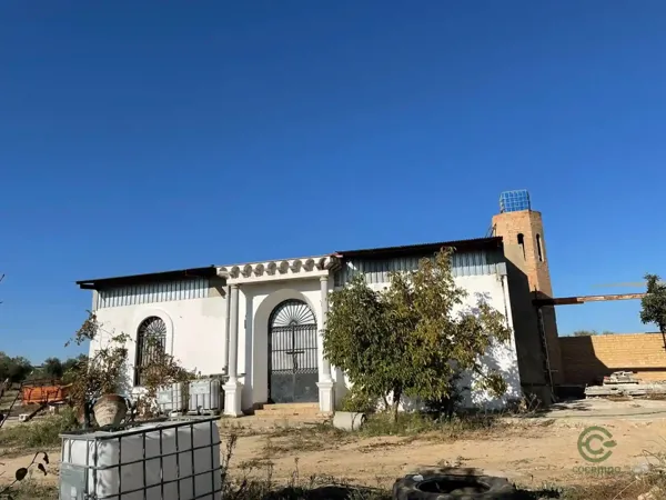 Spot image