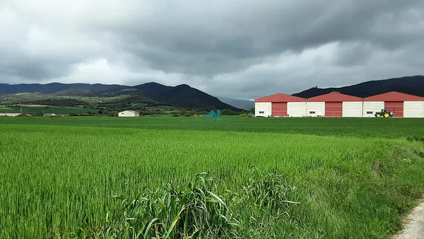Spot image