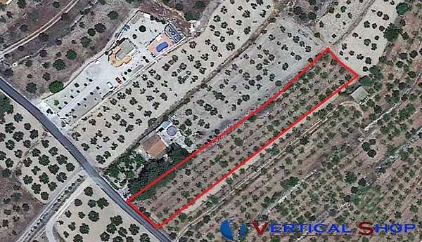 Spot image