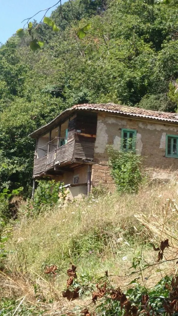 Spot image