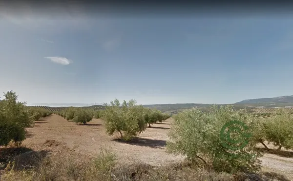 Spot image