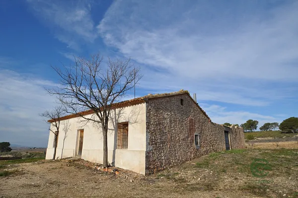 Spot image
