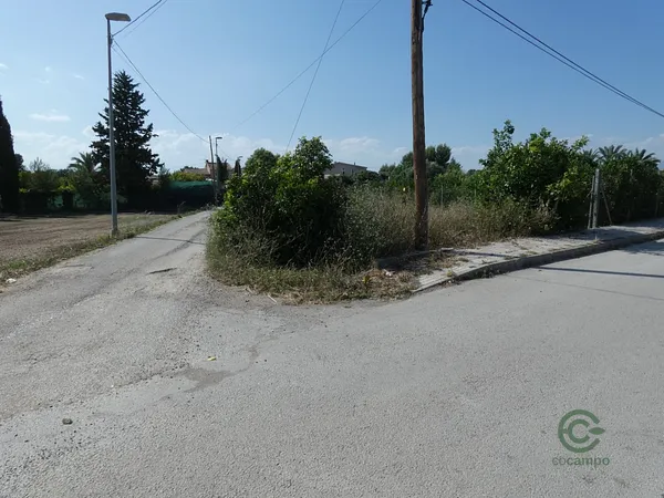 Spot image