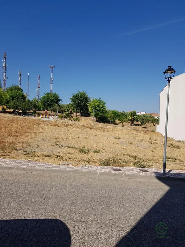 Spot image