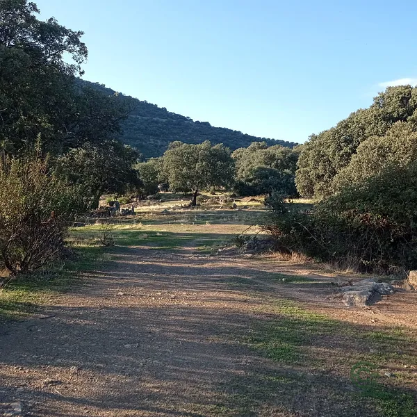 Spot image
