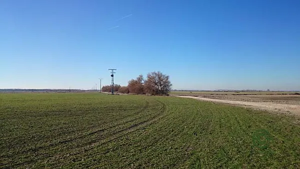 Spot image