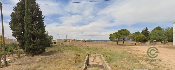 Spot image
