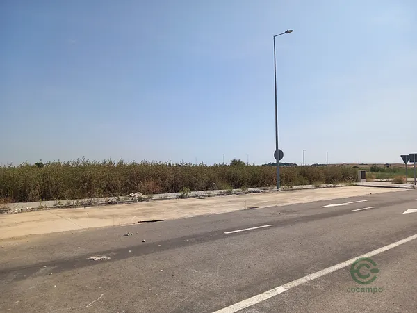 Spot image