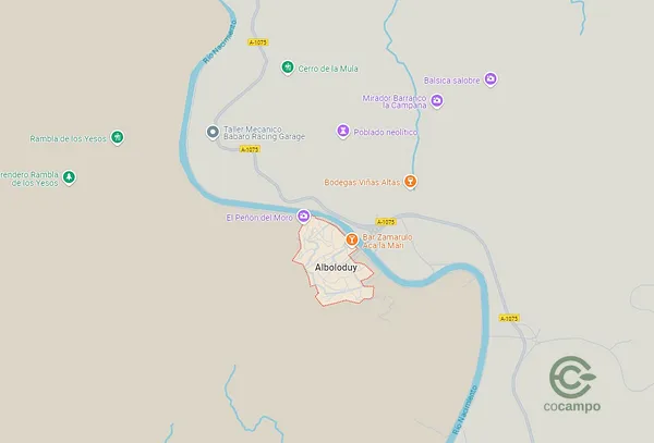 Spot image