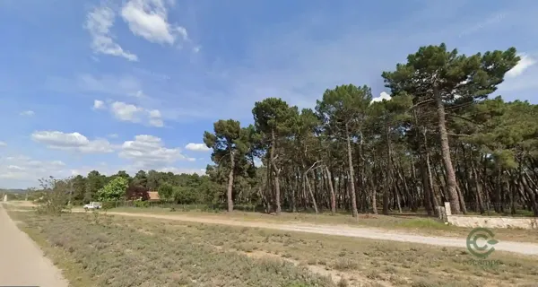 Spot image