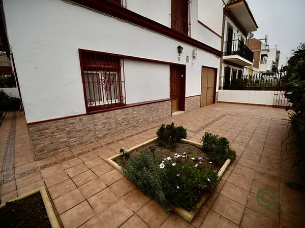 Spot image