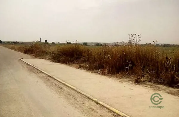 Spot image