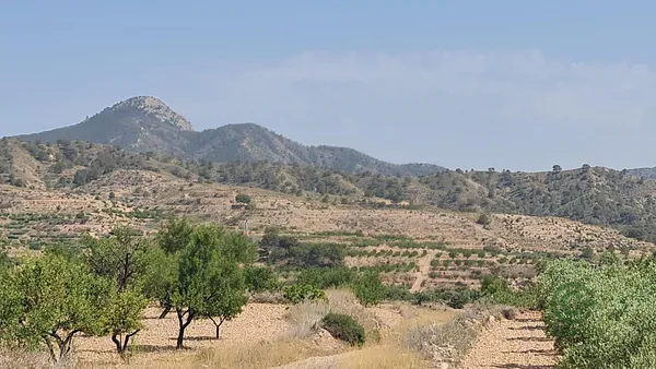 Spot image
