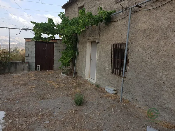 Spot image