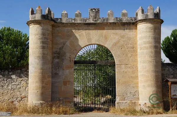 Spot image
