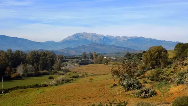 Spot image