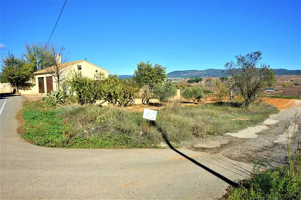 Spot image