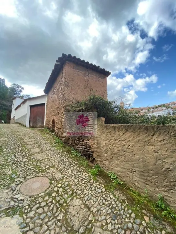 Spot image