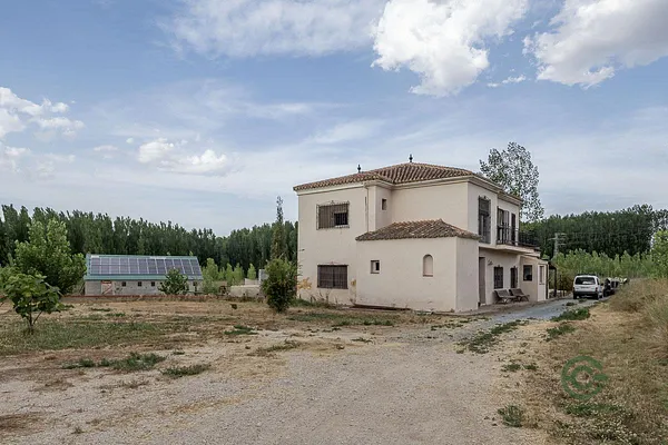 Spot image