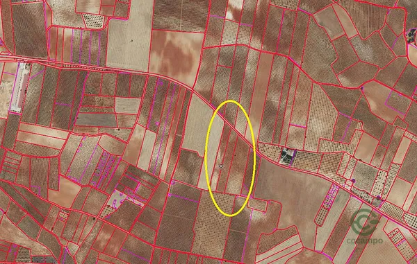 Spot image