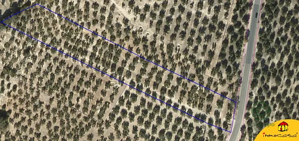 Spot image