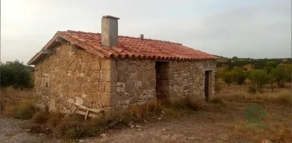 Spot image