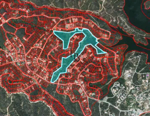 Spot image