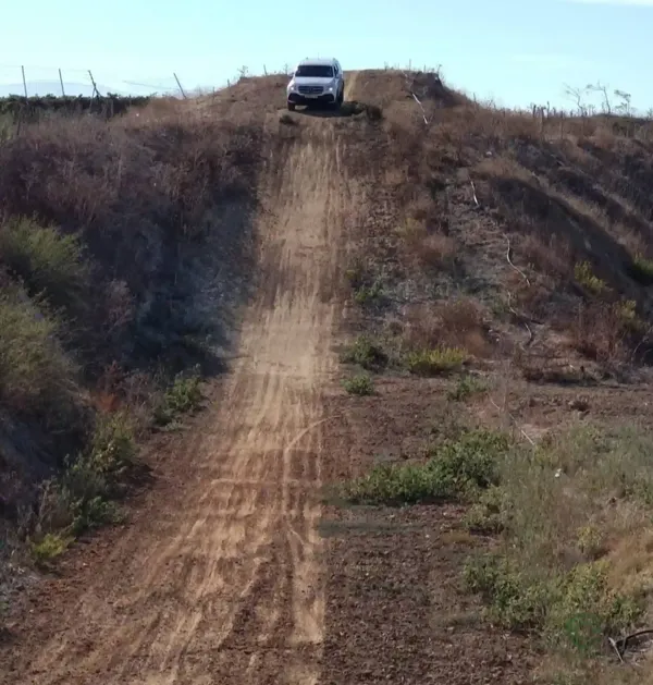 Spot image