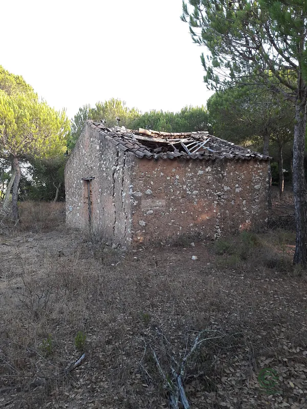 Spot image
