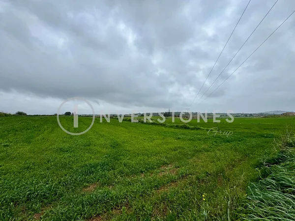 Spot image