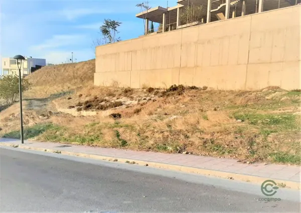Spot image