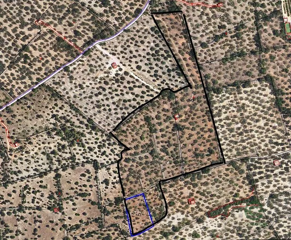 Spot image