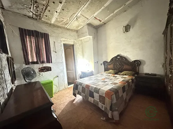 Spot image