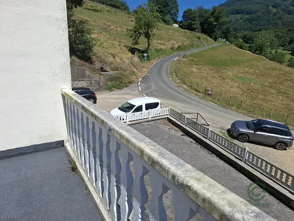 Spot image