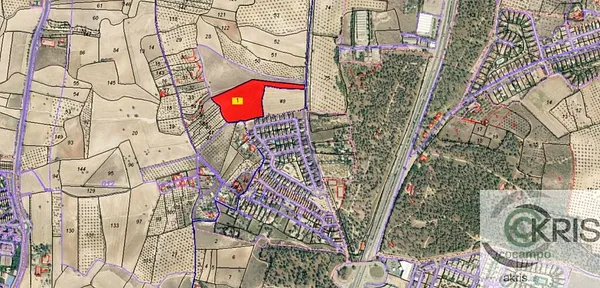 Spot image