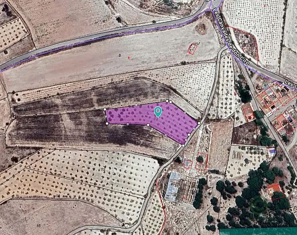Spot image
