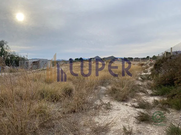 Spot image