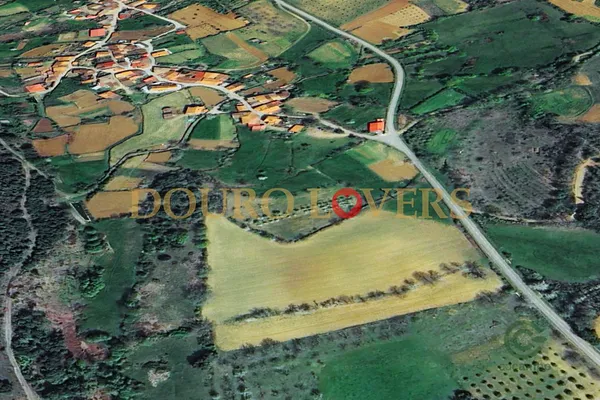 Spot image