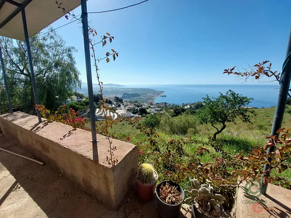 Spot image