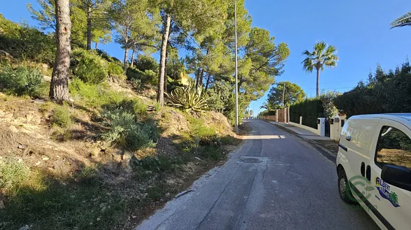 Spot image