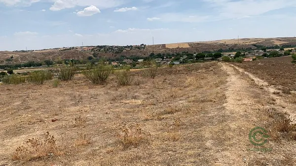 Spot image