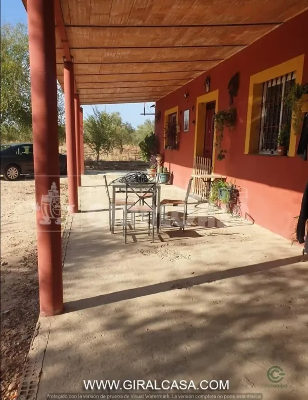 Spot image