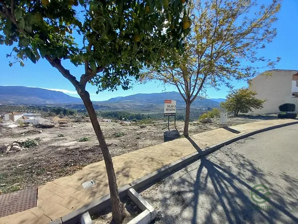 Spot image