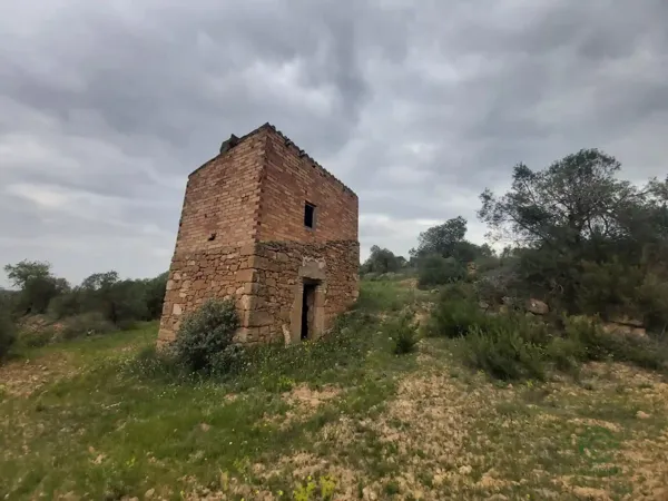 Spot image
