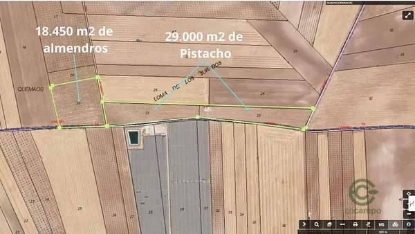 Spot image