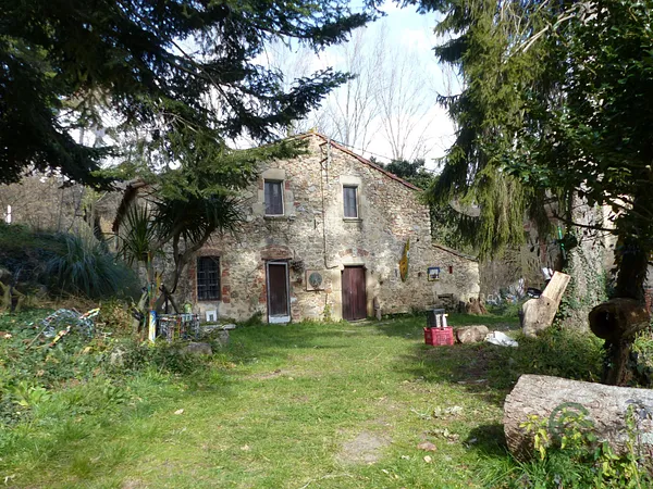 Spot image