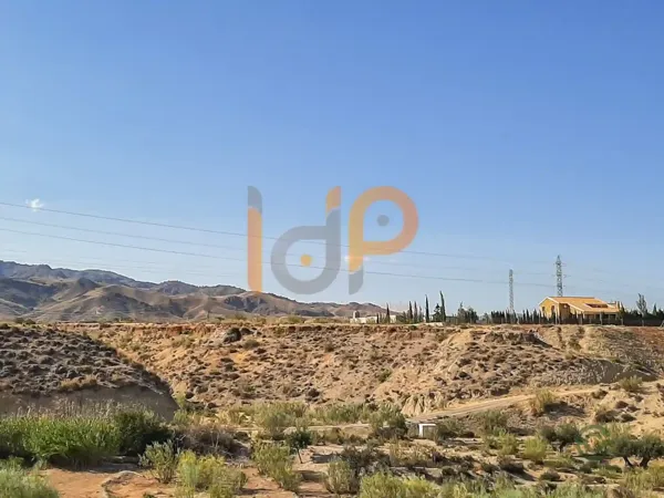 Spot image