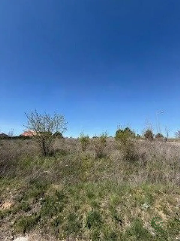 Spot image