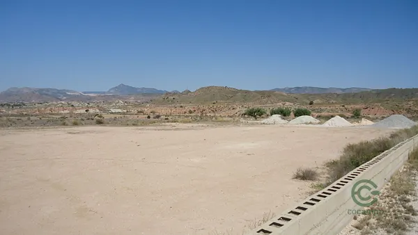 Spot image